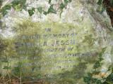image of grave number 35328